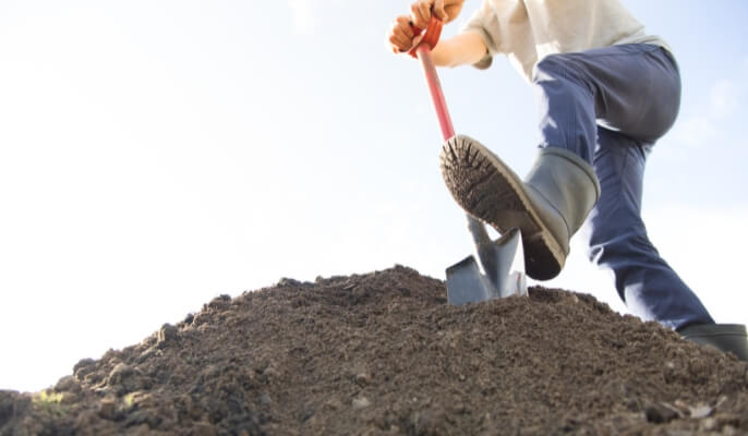 What to Know Before an Expert Digs Near Your Foundation