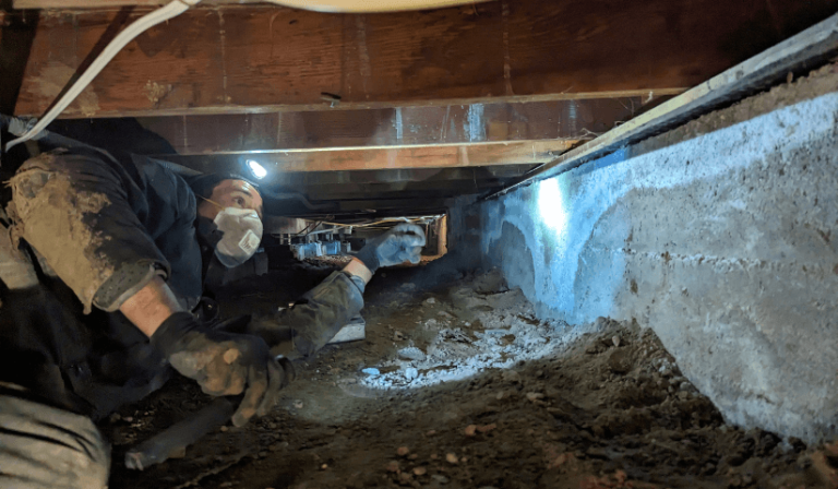 Picture of 5 Signs Water Damage May Lead to the Need for Foundation Repair
