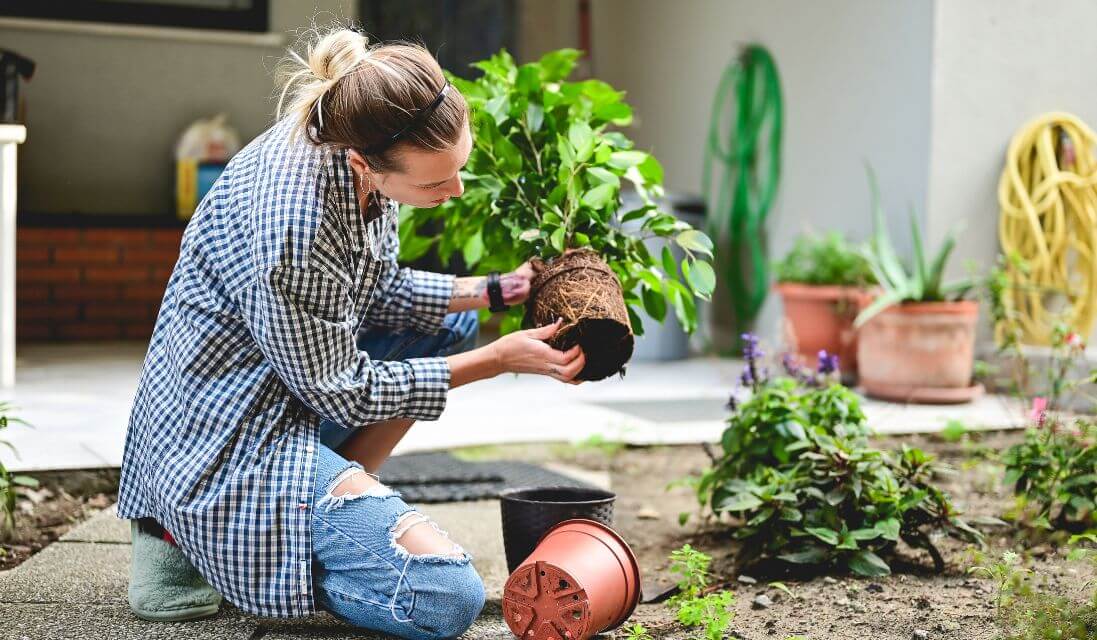 spring maintenance tips home foundation