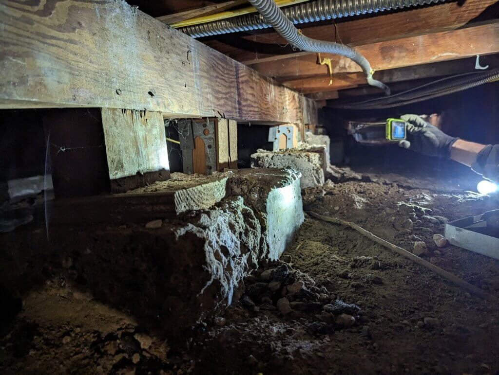 Foundation Inspection