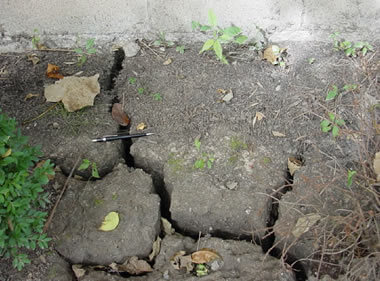 soil-cracks